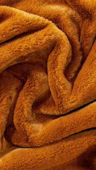 cinnamon_web_2
