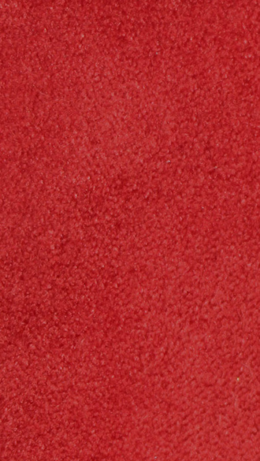bengalina-suede-2_343656202