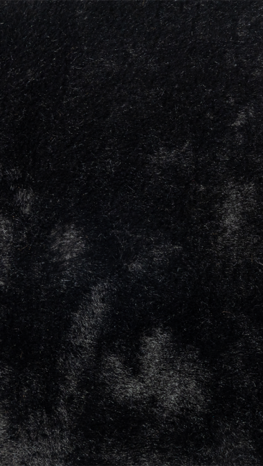 black_web_1831046367