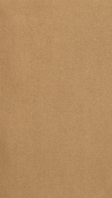 camel_web