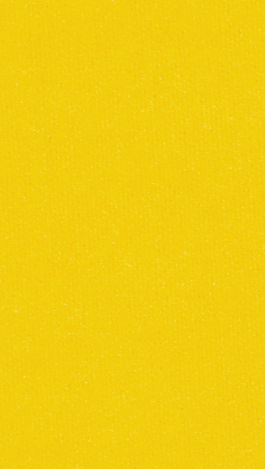 egg_web